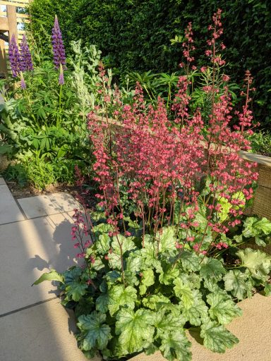 Emerson's Gardens - Planting