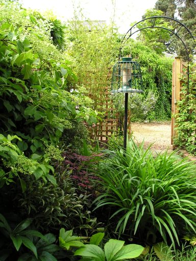 Emerson's Gardens - Jungle Gardens