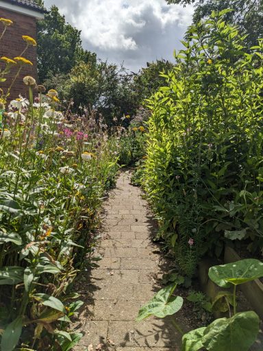 Emerson's Gardens - Garden Path