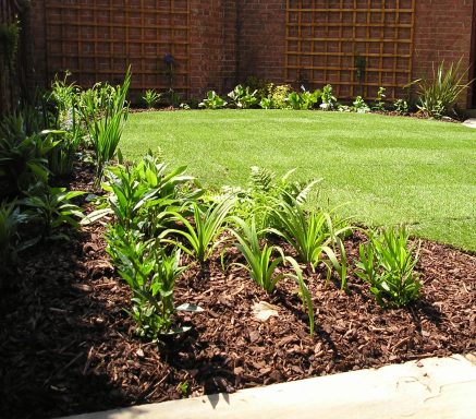 Emerson's Gardens - New Planting