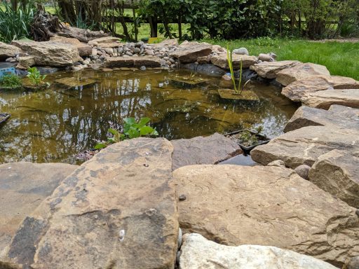 Emerson's Gardens - Natural Ponds