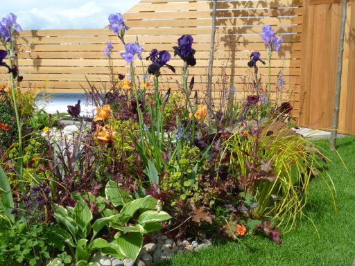 Emerson's Gardens - Mixed Planting