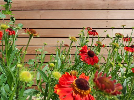 Emerson's Gardens - Cedar Fencing