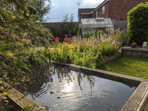 Emerson's Gardens - Reflection